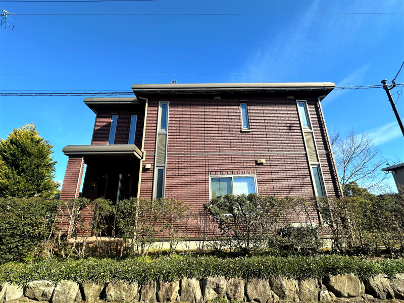 飯塚せいほうの作品です 海を渡って制作スタイル変わった、南の